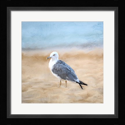 Framed Seagull Print