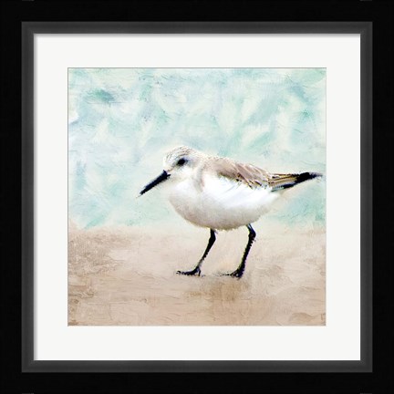 Framed Sandpiper Walk 2 Print