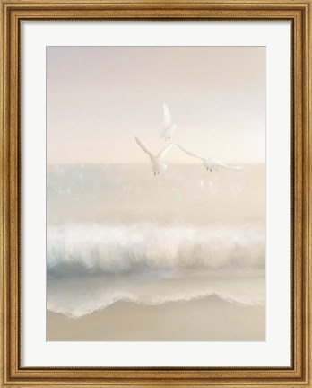 Framed Gulls Print