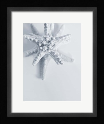 Framed Starfish Print