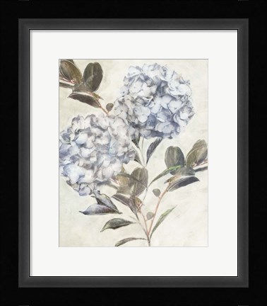 Framed Twilight Hydrangea Print