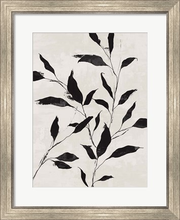 Framed Noir Botanical Print