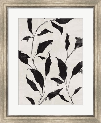 Framed Noir Botanical II Print