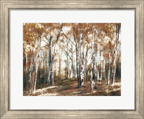 Framed Rusted Hearth Birch Trees Print