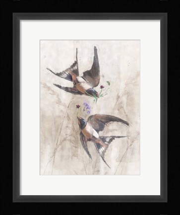 Framed Playful Swallows Print