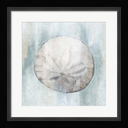 Framed Sand Dollar Print
