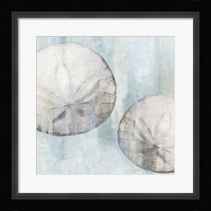 Framed Sand Dollars Print