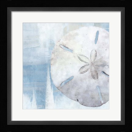 Framed Sand Dollar III Print