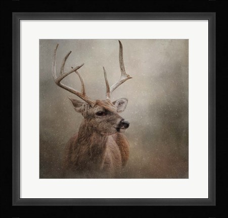 Framed Winter Messenger Print
