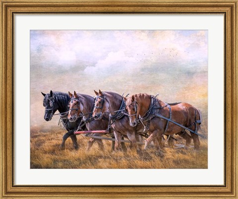 Framed Four Horse Power Print
