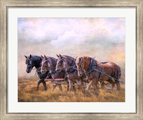 Framed Four Horse Power Print
