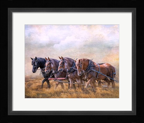 Framed Four Horse Power Print