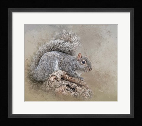 Framed Collector Print