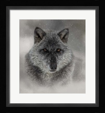 Framed Winter Wolf Print