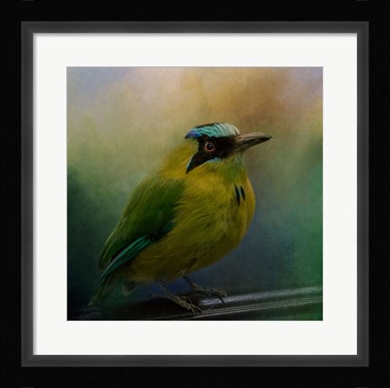 Framed Colorful Charmer Print