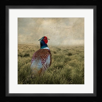Framed Have a Very Pheasant Day Print