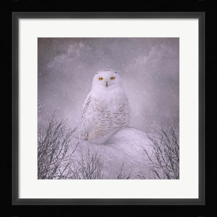 Framed Winter Wonderland Print