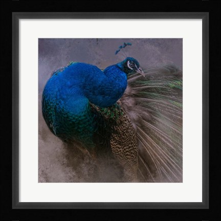 Framed Natural Beauty Print