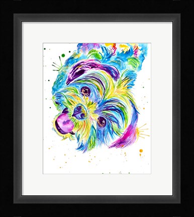 Framed Louie the Colorful Shitzhu Print