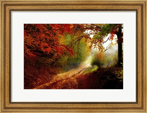 Framed Autumn Forest Edge Print
