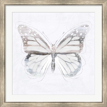 Framed Silver Butterfly II Print