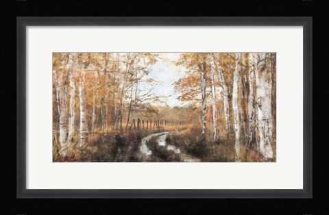 Framed Rusted Hearth Birch Trees II Print