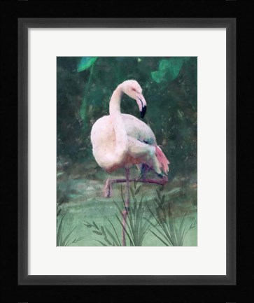 Framed Peach Flamingo II Print