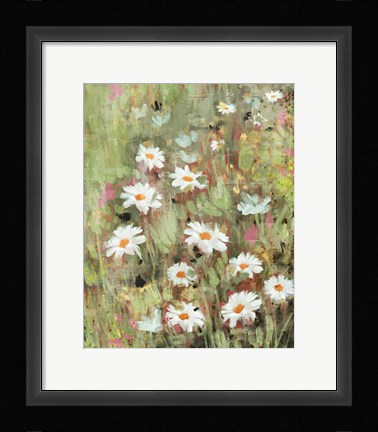 Framed Daisy Field I Print