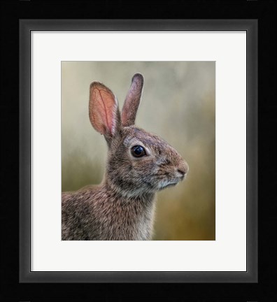 Framed All Ears Print