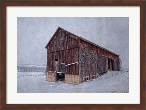 Framed Rustic Red Print