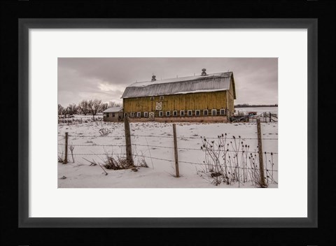 Framed Old Yeller Print