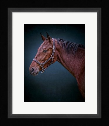 Framed Wild Soul Print