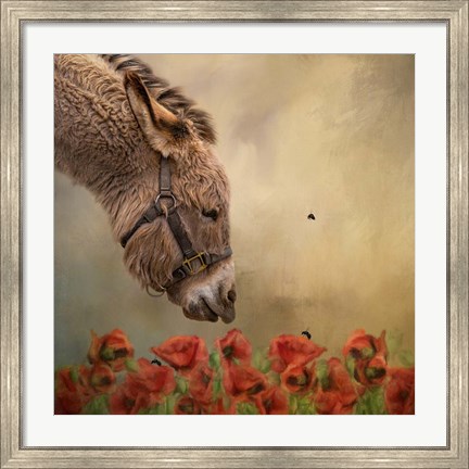 Framed Stop and Smell the Flowers Print