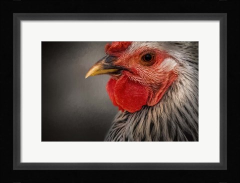 Framed Early Riser Print