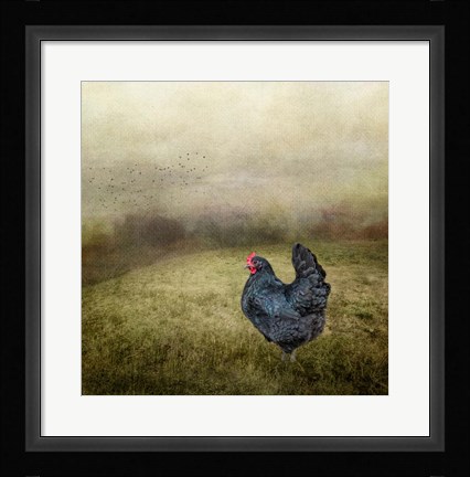 Framed Early Morning Riser Print