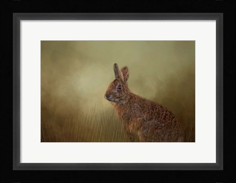 Framed Awakening Print