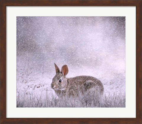 Framed Snow Hopper Print