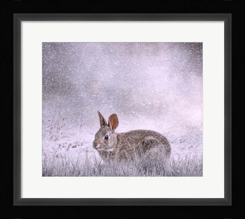 Framed Snow Hopper Print