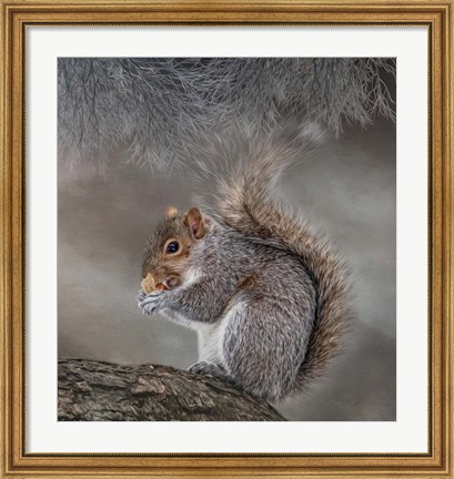 Framed Bright Eyed and Bushy Tailed Print
