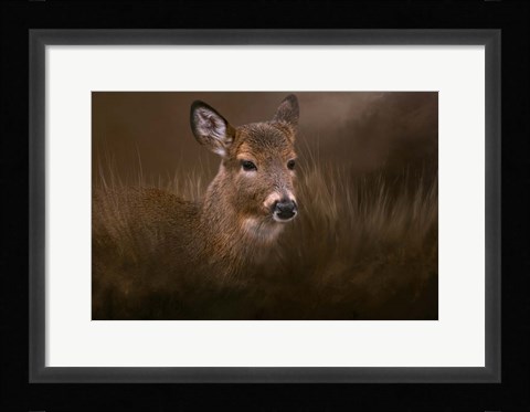Framed Encounter Print