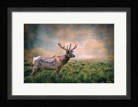 Framed Lone Leader Print