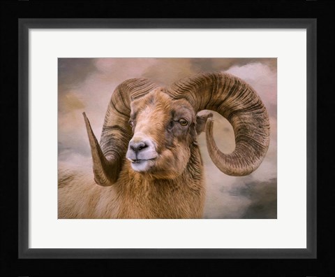 Framed Mountain Dweller Print
