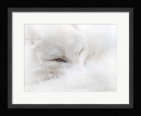 Framed White on White Print