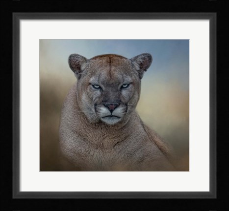 Framed Not Amused Print