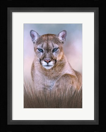 Framed Hypnotist Print