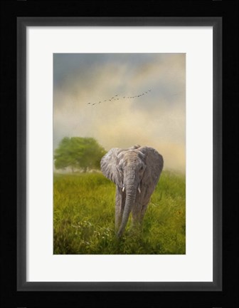 Framed Solo Approach Print