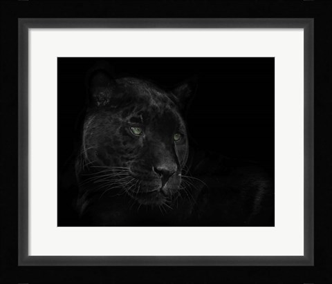 Framed Green Eyed Beauty Print