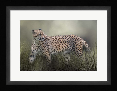 Framed Look Back Print