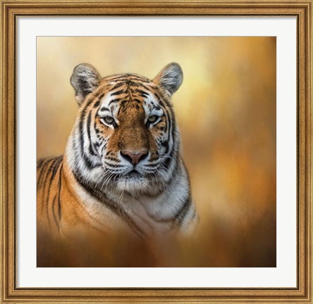 Framed Tiger Queen Print
