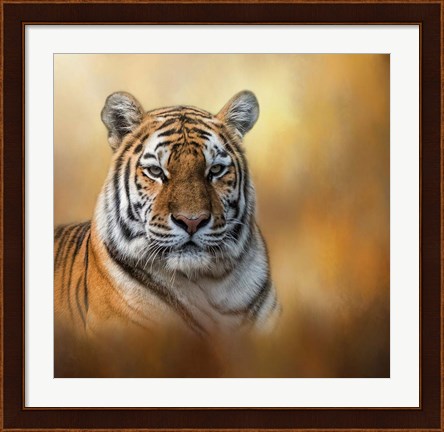 Framed Tiger Queen Print